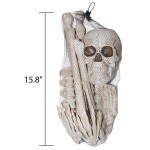 Ensemble décoration de 12 os de squelette humain en filet