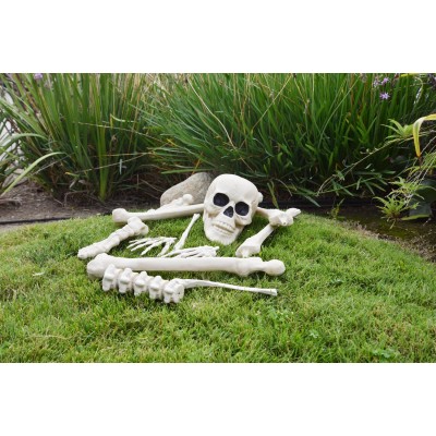 Ensemble décoration de 12 os de squelette humain en filet