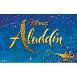 Costume du personnage Aladdin de Disney