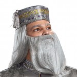 Costume Deluxe pour adulte de Dumbledore directeur de Poudlard / Harry Potter