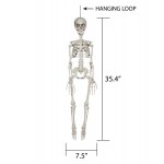 Squelette de base complet de 36 pouces